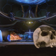 Image credit: 343 Industries